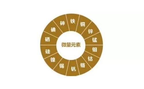 儿童微量元素检测仪检测重要微量元素?山东国康