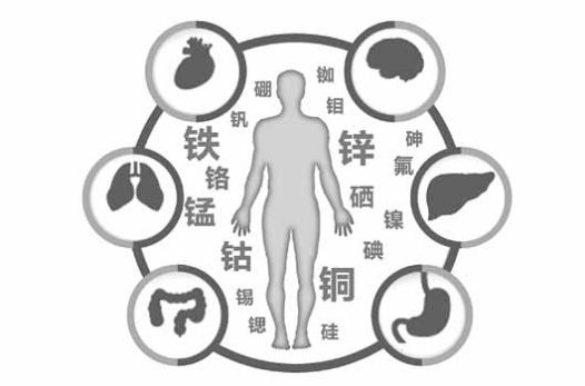 微量元素检测仪厂家为人体健康做出了重大贡献?山东国康