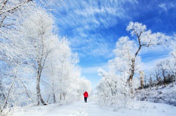 微量元素检测仪品牌建议冬天补充为春天成长打基础-山东国康