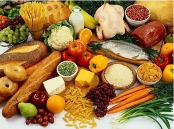 儿童微量元素检测仪提供儿童科学饮食原则-山东国康 儿童微量元素检测仪提供儿童科学饮食原则-山东国康