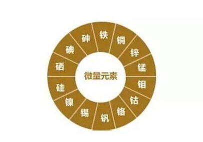 星空体育为什么夏天跑步没有几步就气喘吁吁是什么原因？