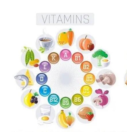 星空体育 星空体育